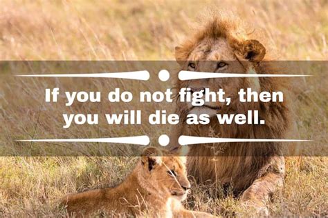 70 Powerful Strong Lion Quotes And Sayings To Inspire You Legitng