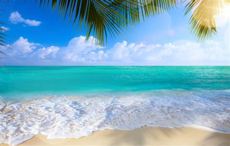 Обои песок море пляж пальмы берег summer beach sea sand shore paradise palms