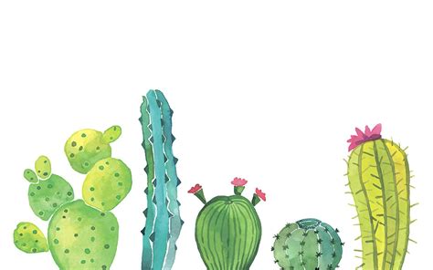 Cute Cactus Desktop Wallpapers Top Free Cute Cactus Desktop