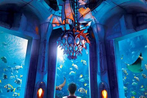 Lost Chambers Aquarium E Tickets Aed 85 Atlantis The Palm Jtr