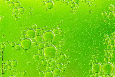 Green Oil Drops In Water Bubbles Of Different Sizes On Green Abstract