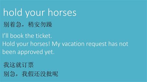 * are you wondering what hold your horses means? hold your horses meaning in Chinese - YouTube