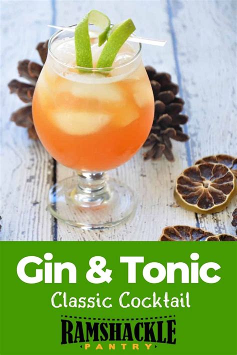 a simple classic gin and tonic cocktail can define your skills as a home bartender get the