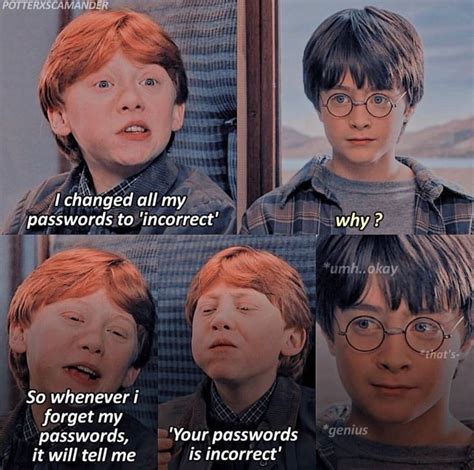 Ron And Harry Harry Potter Funny Harry Potter Memes Harry Potter Jokes