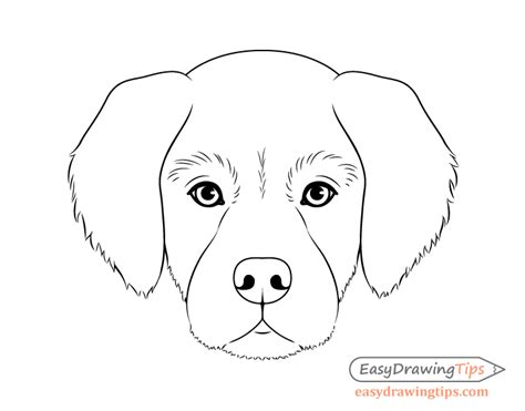 How To Draw A Dog Face Easy For Kids A Dogs Face Is Divided Into The