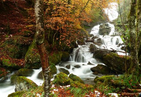 forest, Trees, Autumn, Waterfall, Rocks, Moss, Nature Wallpapers HD / Desktop and Mobile Backgrounds