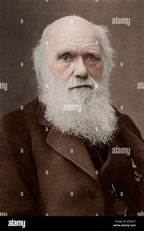 Charles Darwin Englischer Naturforscher Geologe Evolutionstheorie