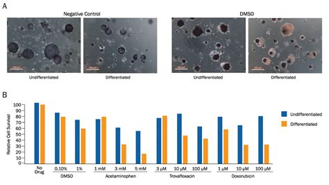 Tacs Mtt Cell Proliferation Assay 4890 050 K Randd Systems