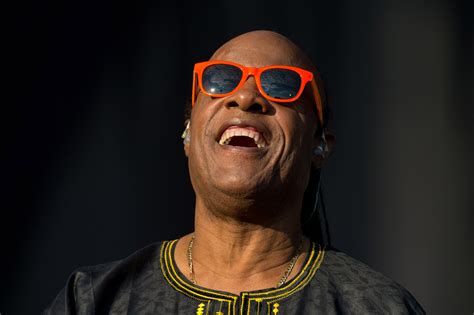 Isnt He Lovely Wonderful Facts About Stevie Wonder