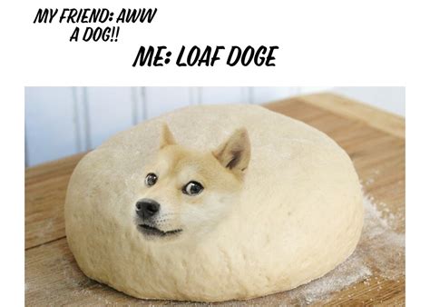Loaf Doge Meme By 3ll4 Memedroid