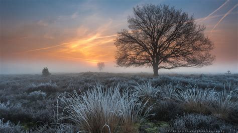 Windows 10 Nature Scenery Hd Desktop Wallpaper 13 Preview