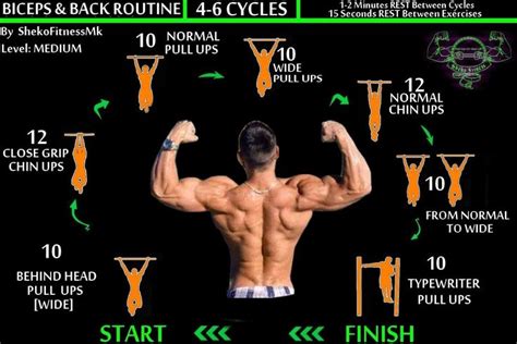 Bodyweight Back And Biceps Workout [calisthenics Routine] Calisthenics Workout Routine Workout