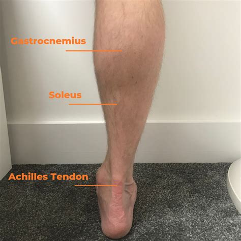 How To Manage And Resolve Achilles Pain — Complete Endurance Running