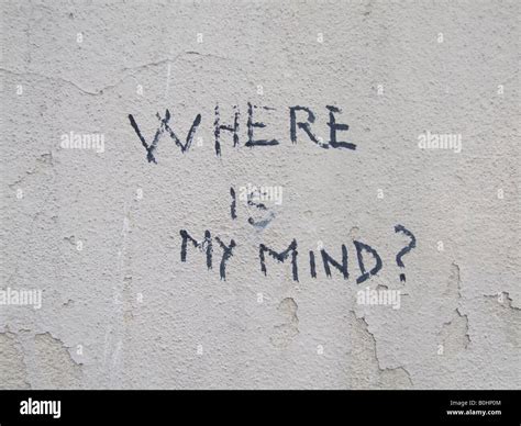 Where Is My Mind Sentence Graffiti On Wall Stock Photo Alamy