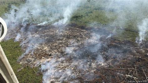 Kebakaran hutan dan lahan dari tahun ke tahun selalu menjadi masalah di indonesia. Efektifkah fatwa haram MUI tentang pembakaran hutan? - BBC ...