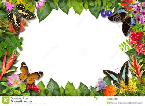 More than 3 million png and graphics resource at pngtree. Nature Border With Flower And Green Leaf Stock Image ...