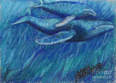Humpback Whale Mother And Calf Drawing By Jamey Balester Fine Art America