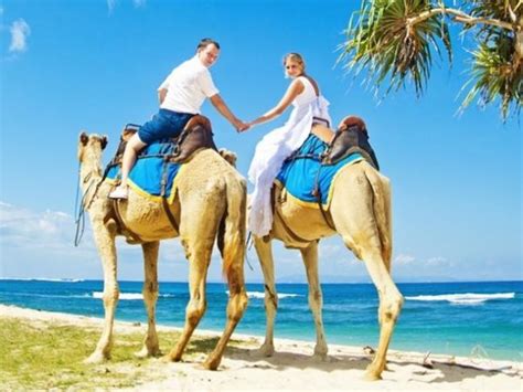 Wedding Planners Dubai