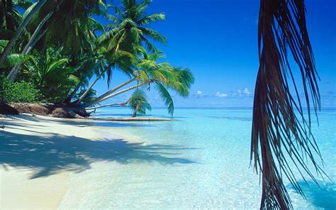 Exotic Beach On Tropical Island Wallpaper Nature And Landscape