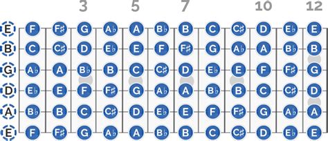 Guitar Notes For Beginners Easy Read With Charts Guitar Chalk