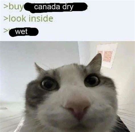 Canada Wet Meme Subido Por Mireska Memedroid