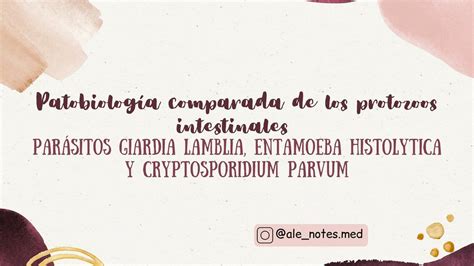 Giardia Lamblia Entamoeba Histolytica Cryptosporidium Flashcards The