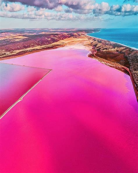 Hillier Różowe Jezioro W Australii