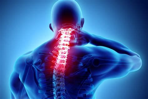 Neck Pain Specialist - Palm Harbor, FL: Orthopedic Specialists