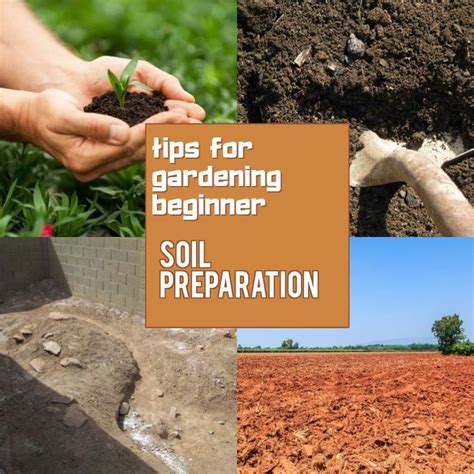 How To Prepare Soil For Gardening 101 Gardening Ideas Soil Garden