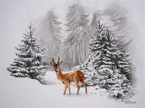 Winter Drawing Pencil Sketch Colorful Realistic Art Images