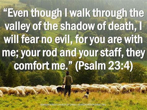 The Lord Is My Shepherd Psalm 23 Ppt Psalm 236 Hd Wallpaper Pxfuel