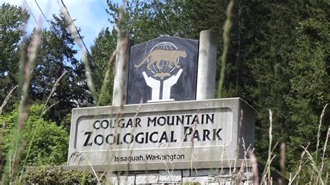 Cougar Mountain Zoo Creating Virtual Field Trip For Students Far And