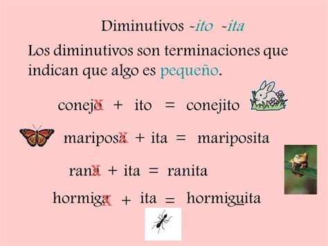 Formación De Los Diminutivos Lecturas Comprensivas Cortas Ortografía