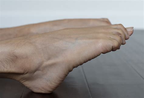 Point Plantarflexion Vs Flex Dorsiflexion Your Feet In Yoga — Lana