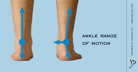 How Orthotics Help Maintain Ankle Range Of Motion Mass4d® Foot Orthotics