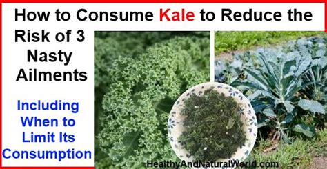 how to consume kale to reduce the risk of 3 nasty ailments