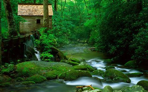 Beauties Of Nature Wooden Water Mountain River With Clear