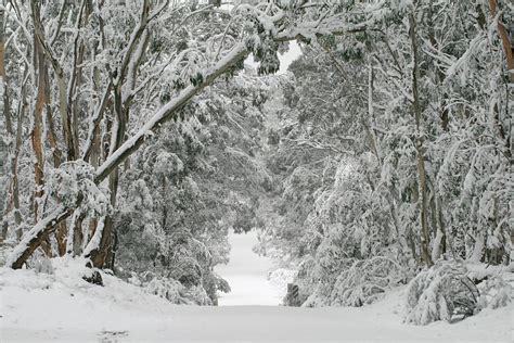 Filekanangra Winter Wonderland