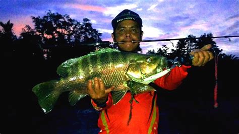 Lure minnow luminous 17 gr strike BLACKBASS 4 kg - YouTube