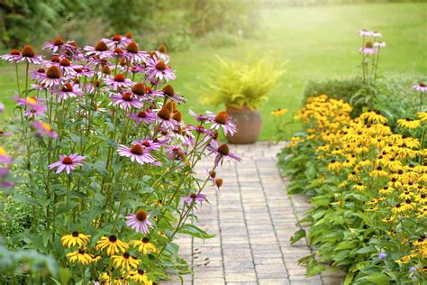 15 Types Of Wildflowers To Plant In Your Garden