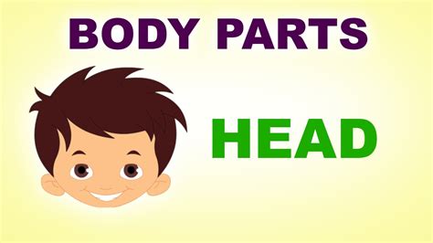 Head Human Body Parts Pre School Know Your Body Animated Videos