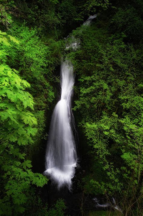 Fairy Falls Columbia River Gorge Photograph By Doug Wittrock Pixels
