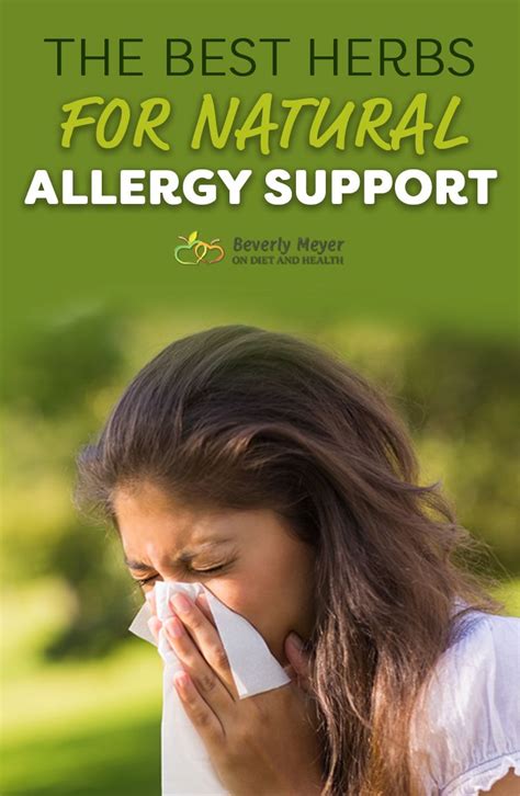 Using These Herbs For Natural Allergy Support Can Change Your Life
