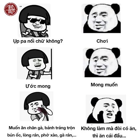 tổng hợp meme gấu trúc weibo hài hước độc bá đạo eu vietnam business network evbn