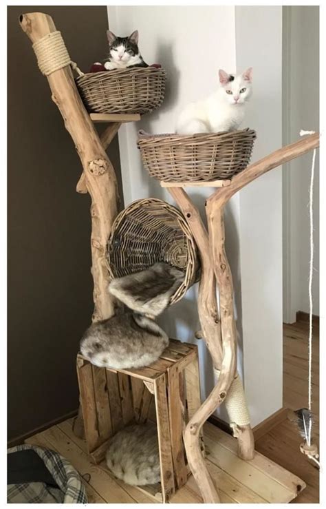 Custom Made Your Cat Tree Even For Big Cats Natural Wood Trees
