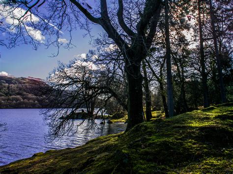 Countryside Walks Coniston Spring Sunlight Sorry Not Be Flickr