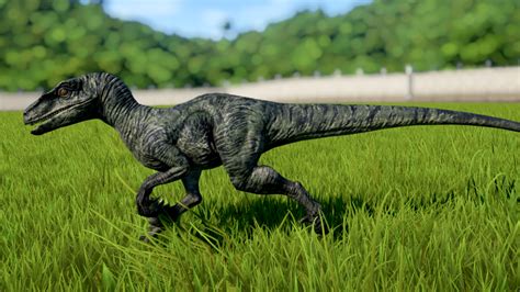Velociraptor Jurassic World Evolution Sanyfeel