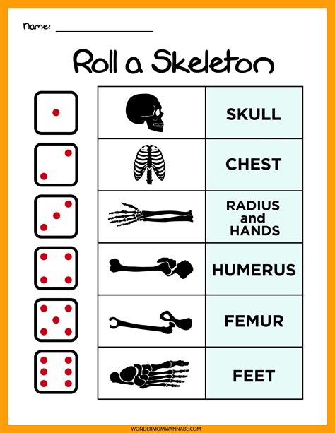 Skeletal System Activity Set In 2021 Skeletal System Activities