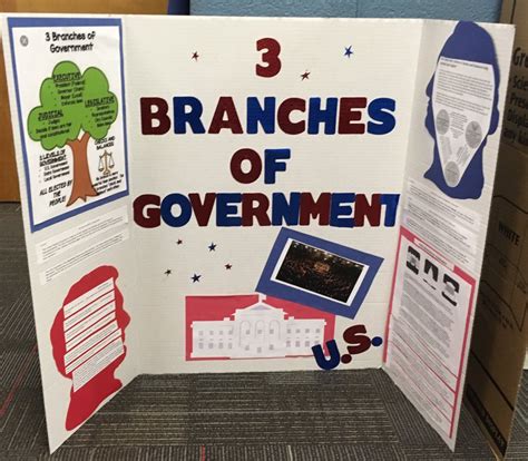 Three Branches Of Government Project