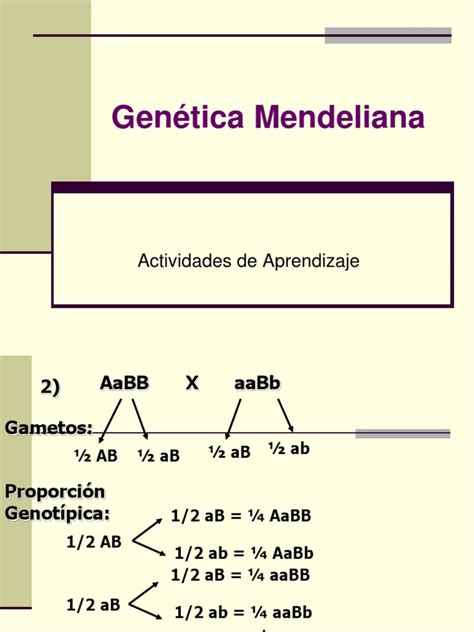 4 Ejercicios Genetica Mendeliana Pdf